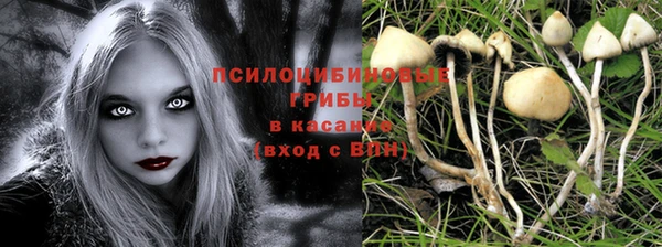 соль ск Балахна